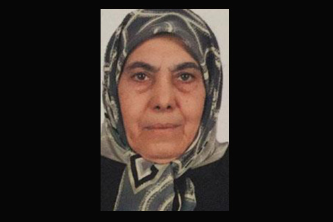 Ağaç ailesini yasa boğan kaza