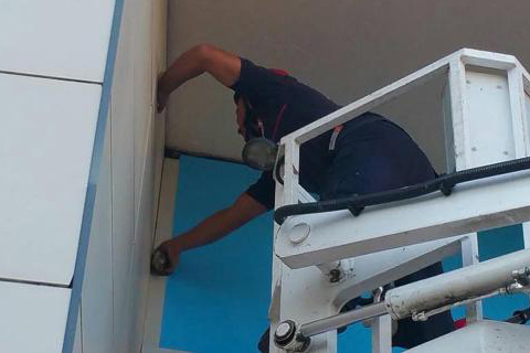 AVM çatısında serçe kurtarma operasyonu
