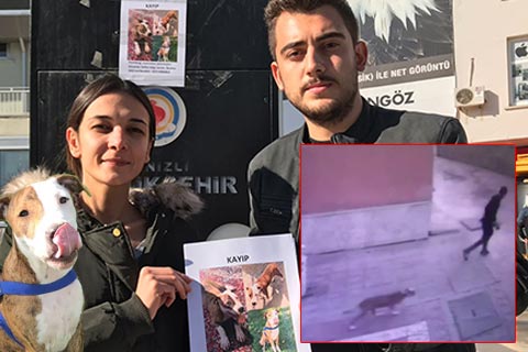 Köpeklerinin çalınma anının görüntülerini buldular