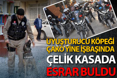 Uyuşturucu köpeği Çako çelik kasada esrar buldu