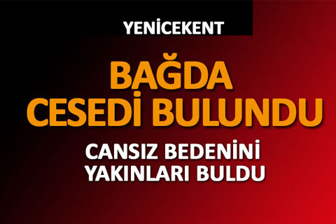 Haber alınamayan yaşlı adamın cesedi bağda bulundu