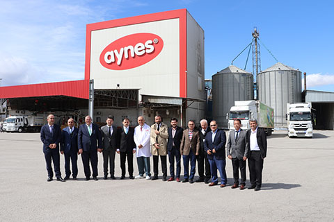 Aynes kayyumla büyüdü