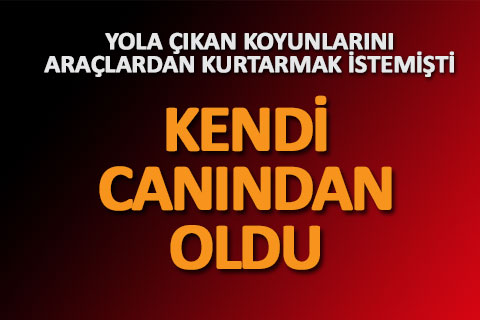 KOYUNLARINI KURTARIRKEN KENDİ CANINDAN OLDU
