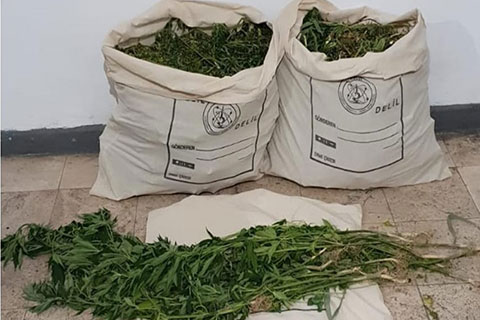 Aşağışamlı’da uyuşturucu operasyonu