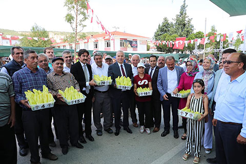 Kale’de ‘biber’ şenliği