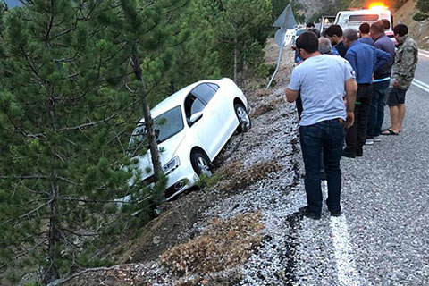 Çameli’de çam ağacı hayat kurtardı