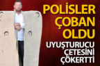 Çoban kılığına giren polisler uyuşturucu çetesini çökertti
