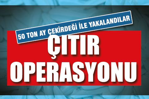 50 ton ay çekirdeği ile yakalandılar
