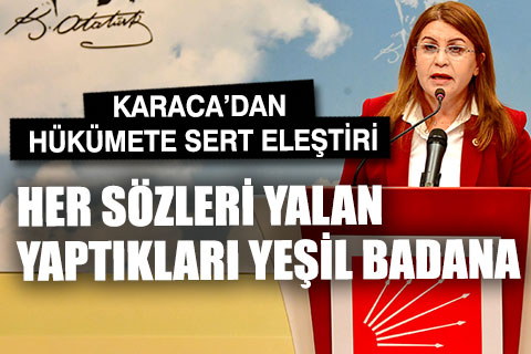 Karaca, hükümeti sert sözlerle eleştirdi