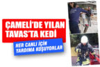 Büyükşehir itfaiye ekipleri her canlının yardımına koşuyor