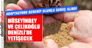 “Hüseyinbey” ve “Çelikoğlu” Denizli’ye uyum sağladı