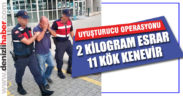 Honaz’da esrar operasyonu