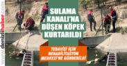 Sulama kanalında mahsur kalan köpek kurtarıldı 