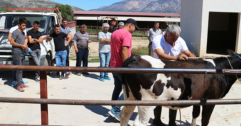 Serinhisar Halk Eğitimden kurban kesim kursu