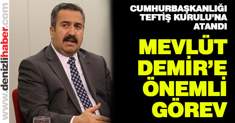 Mevlüt Demir, Cumhurbaşkanlığı Teftiş Kurulu’na atandı