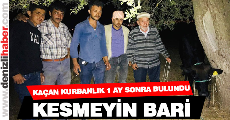 Kaçan kurbanlık 1 ay sonra bulundu