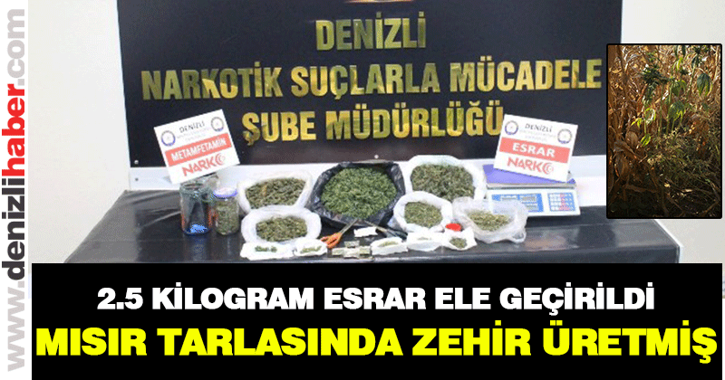 Eskihisar’da uyuşturucu operasyonu. 2.5 kilogram esrar ele geçirildi