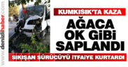 Araç ağaca ok gibi saplandı