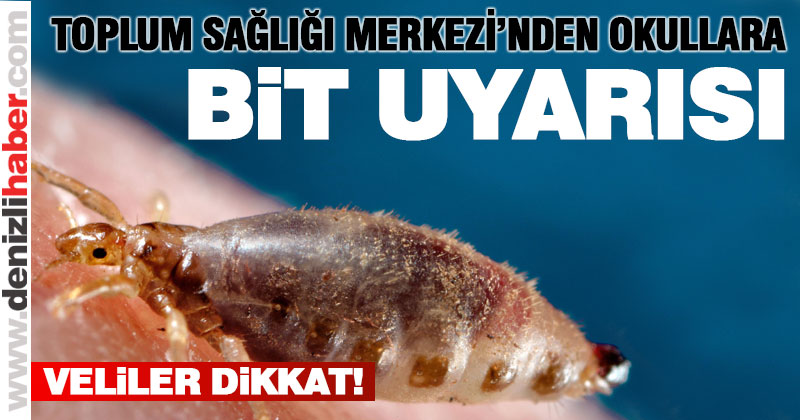 Toplum Sağlığı Merkezi’nde okullara bit uyarısı