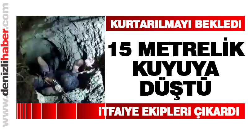 15 metrelik kuyuya düştü, itfaiye kurtardı