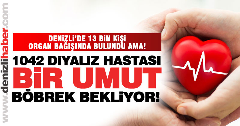 3-9 Kasım Organ Bağışı Haftası