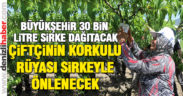 Büyükşehir’den sinekle mücadeleye sirke desteği