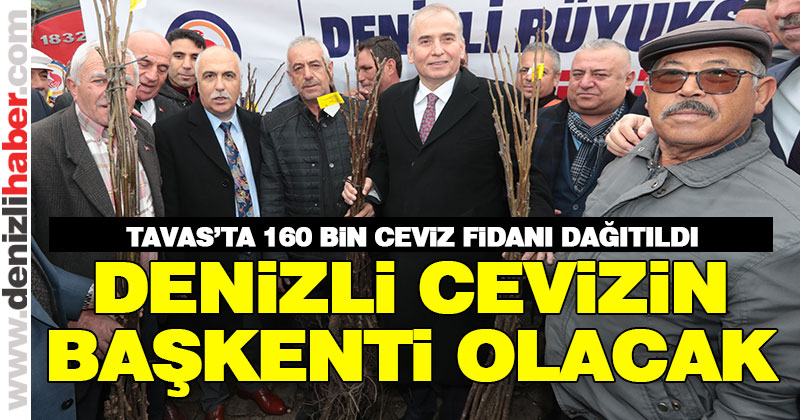 Denizli cevizin başkenti olacak