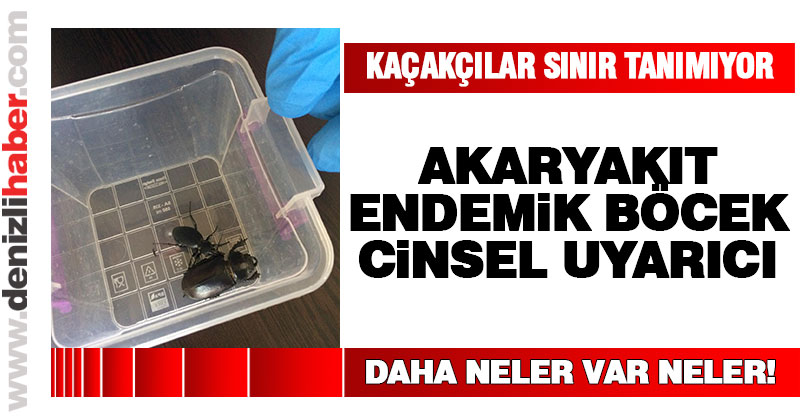 Kaçakçılar sınır tanımıyor