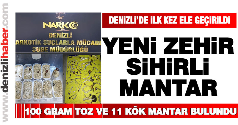 Denizli’de uyuşturucu sihirli mantar ele geçirildi