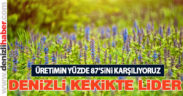 Denizli kekik üretiminde lider