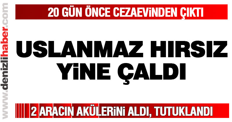 20 gün önce cezaevinden çıktı, yine çaldı