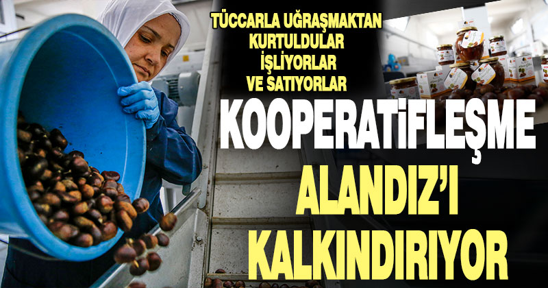 Kaliteli kestanesi ünlü Alandız, ‘işle-sat’ ile kalkınıyor