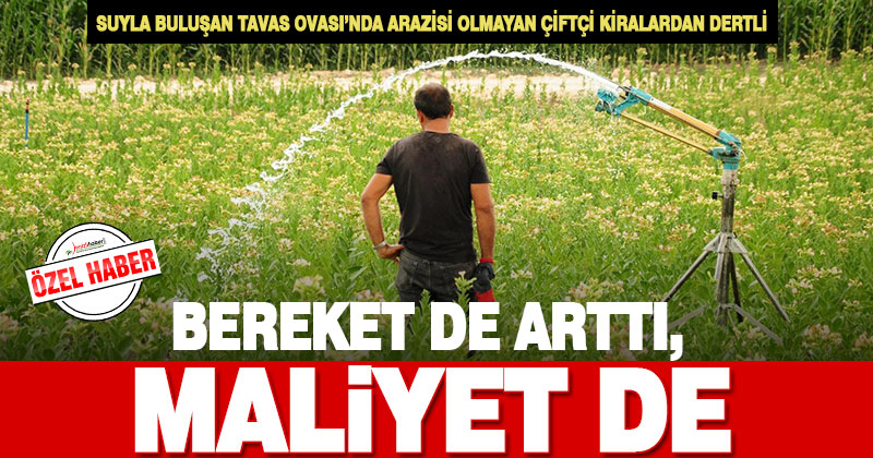 Sulu tarım Tavas Ovası’nın bereketi de arazi fiyatlarını da artırdı, icarcı çiftçiler dertli