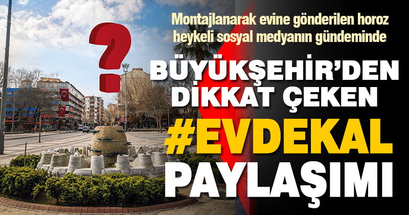 Denizli Büyükşehir Belediyesi’nden horozu bile evine gönderen #evdekal paylaşımı
