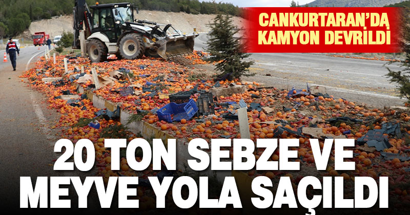 Meyve sebze yüklü kamyon devrildi