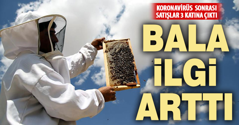 Koronavirüs bal satışlarını 3 katına çıkardı