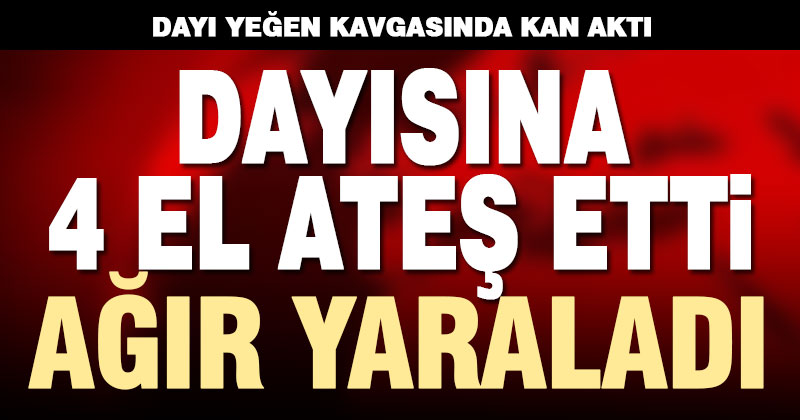 Dayı yeğen kavgasında kan aktı