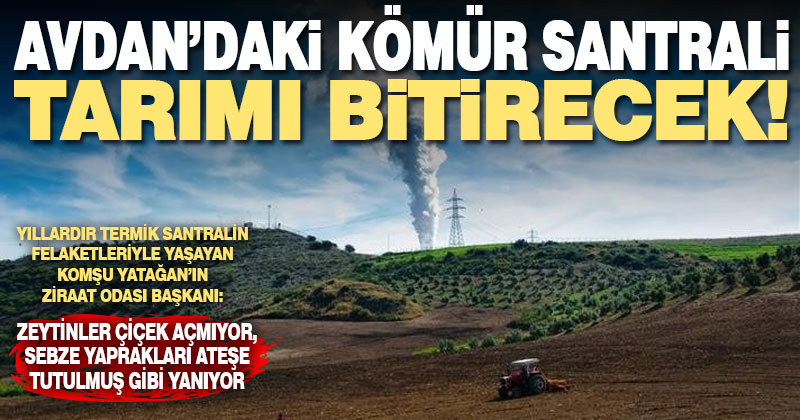 Yatağan’a bakarak Tavas’ın geleceğini görebiliriz: Tarım bitecek!