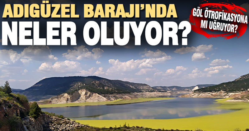 Adıgüzel Barajı’nda korkutan görüntü