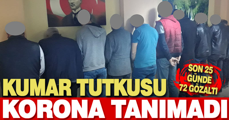 Kumar tutkusu korona tanımadı