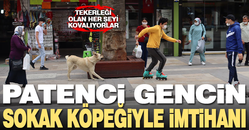 Patenci gencin sokak köpeği ile imtihanı