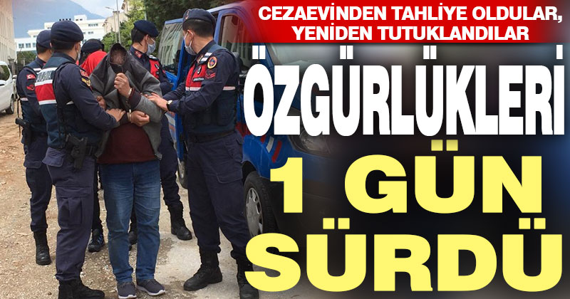 Dolandırıcılık suçundan girdiği cezaevinden çıktıktan 1 gün sonra yeniden tutuklandı