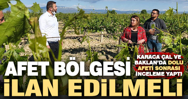 Karaca Çal ve Baklan’da doludan etkilenen arazileri inceledi