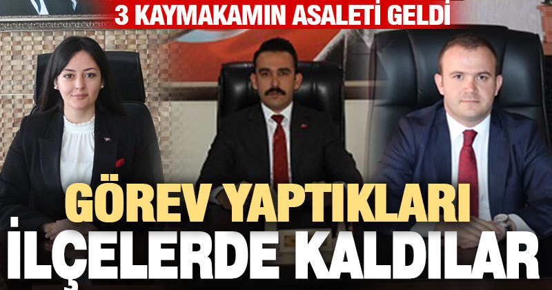 3 kaymakamın asaleti geldi, görev yaptıkları ilçelerde kaldılar
