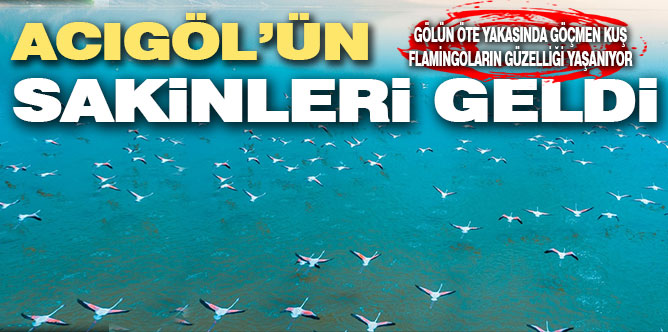 Acıgöl’de yaşayan binlerce flamingo izleyenleri büyüledi