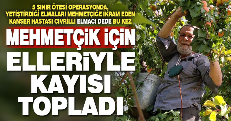 ‘Elmacı Dede’ Mehmetçiğe kayısı dağıtmak için Denizli’den Şırnak’a gitti