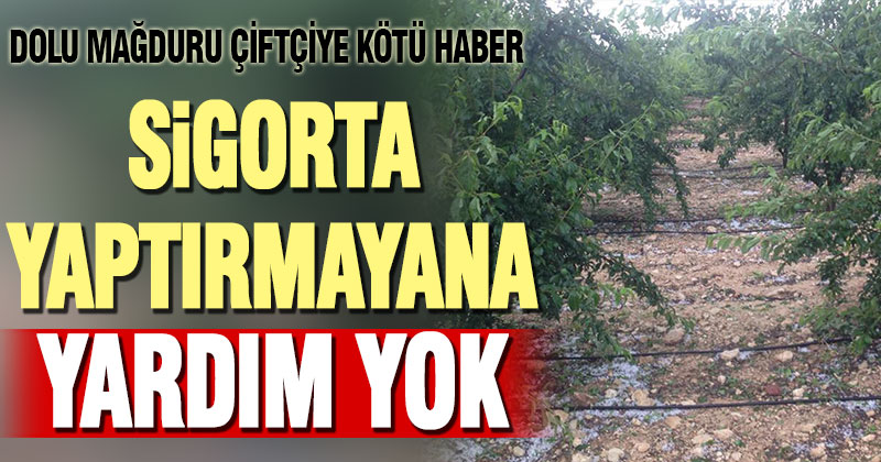 CHP’li Karaca: Sigorta yaptırmayan dolu mağduruna yardım yok