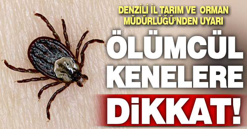 Denizli İl Tarım ve Orman Müdürlüğü’nden kene uyarısı