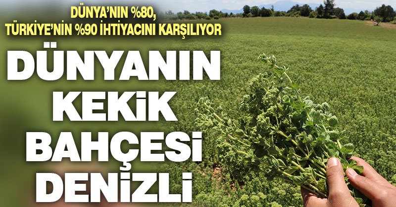 Denizli Dünya’nın kekik bahçesi
