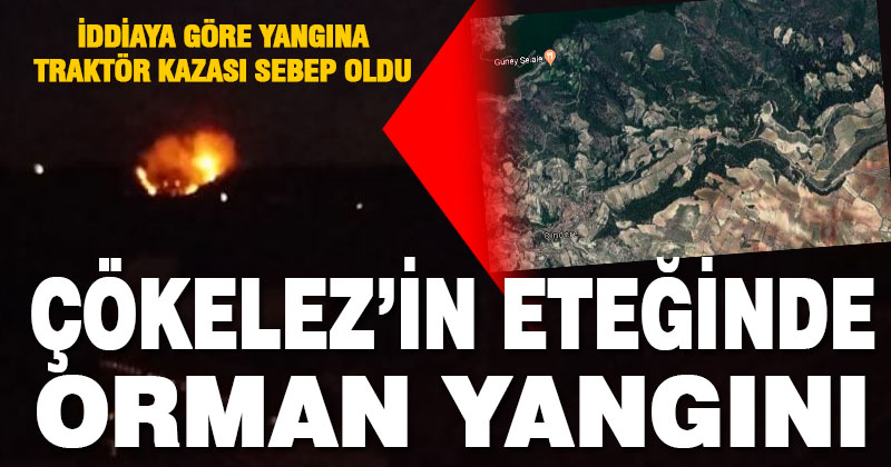 Gözler-Cindere arasındaki ormanlık alanda yangın